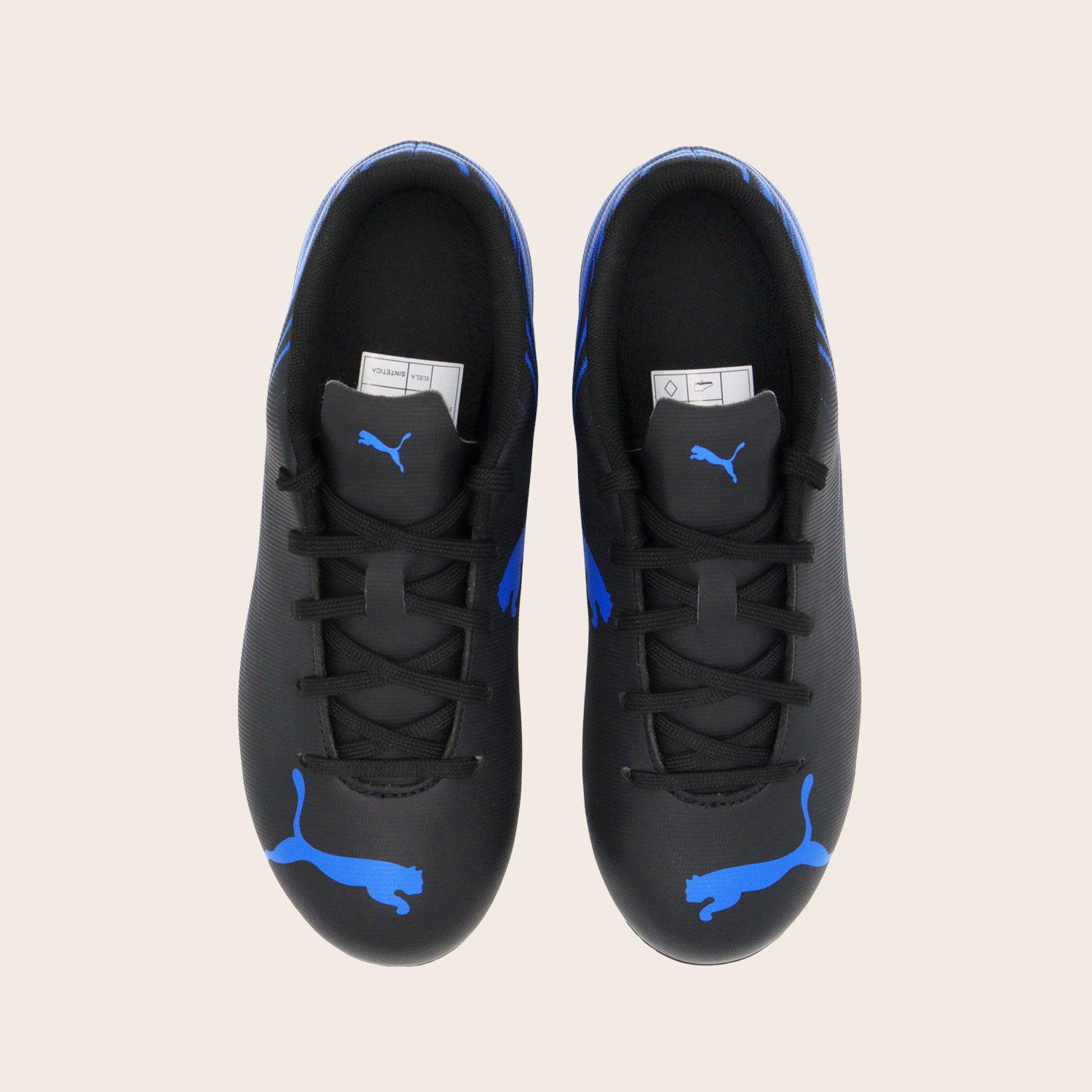 Tenis Puma Attacanto II FG
