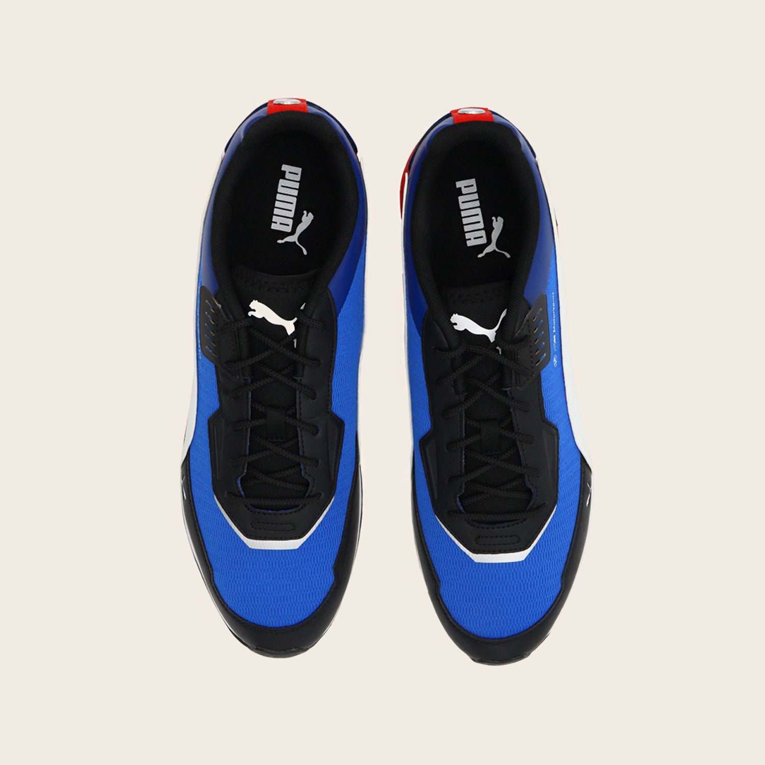 Tenis Puma BMW MMS Speedfusion