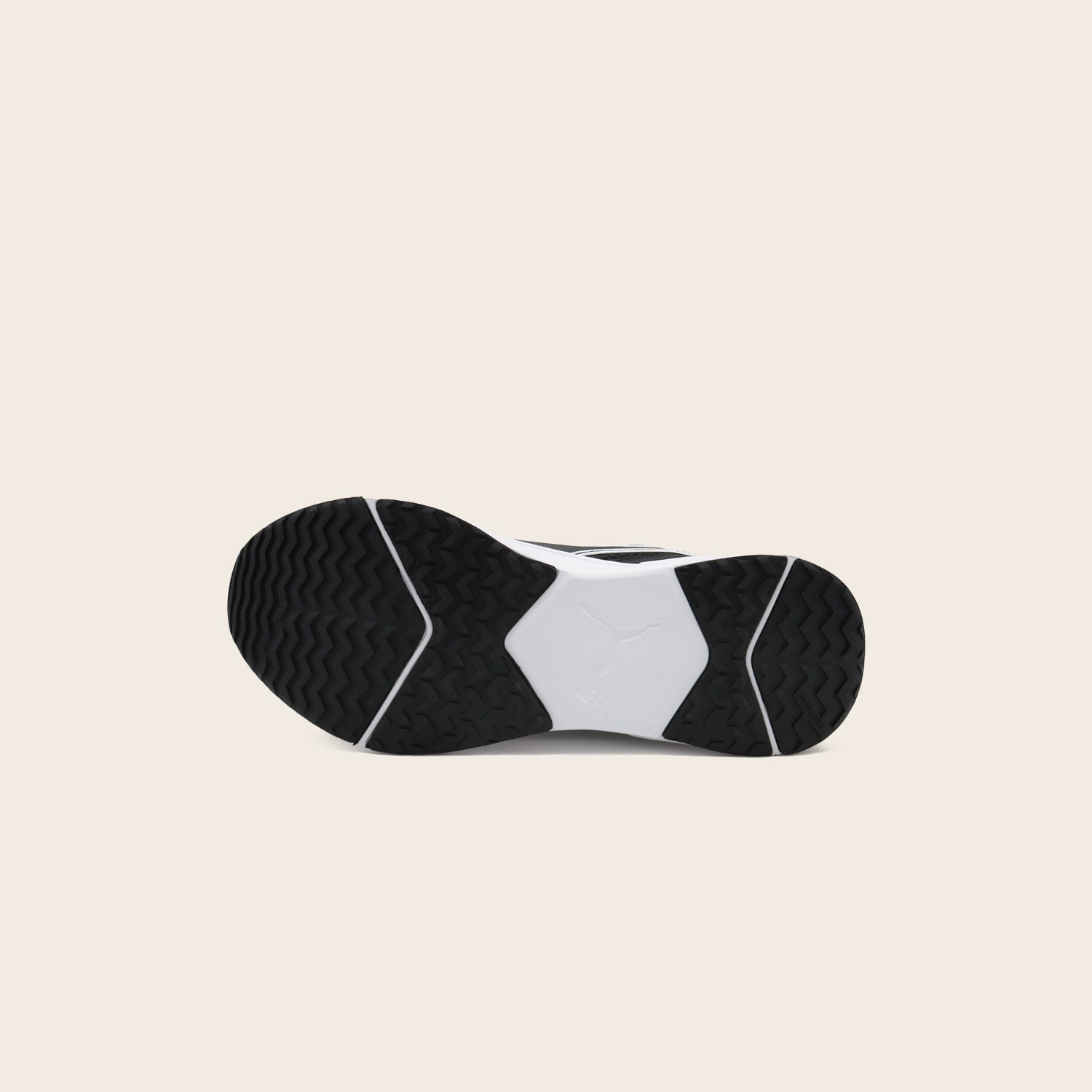 Tenis Puma Disperse XT 4