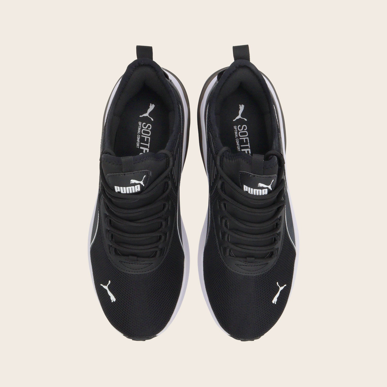 Tenis Puma Amplifier