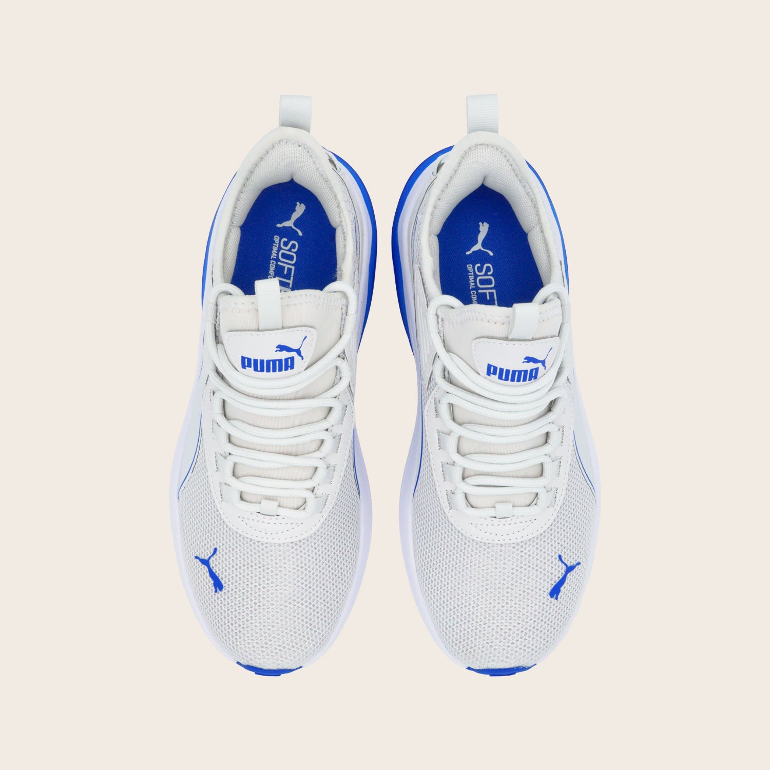 Tenis Puma Amplifier