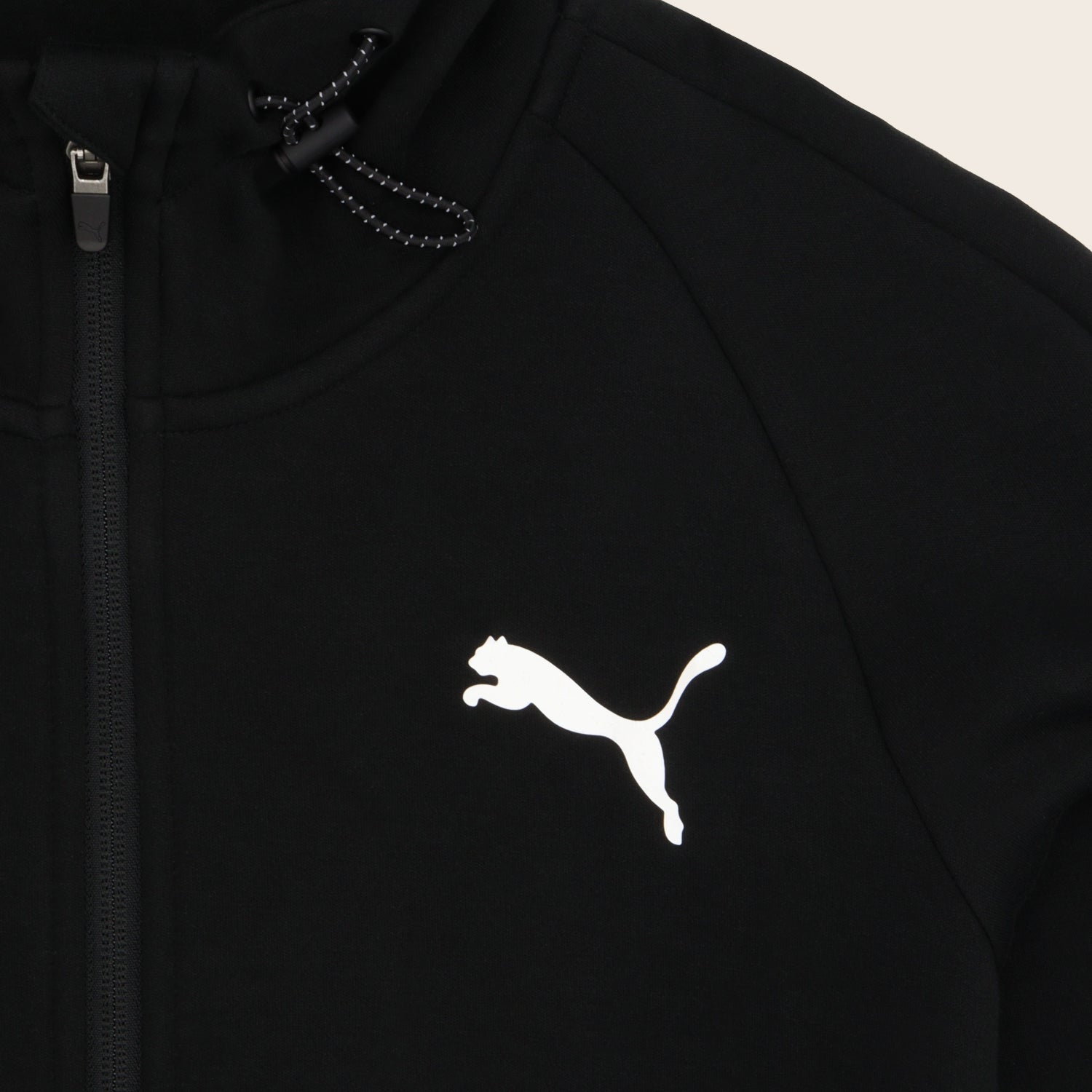 Sudadera Puma Evostripe Core Full-Zip Slim