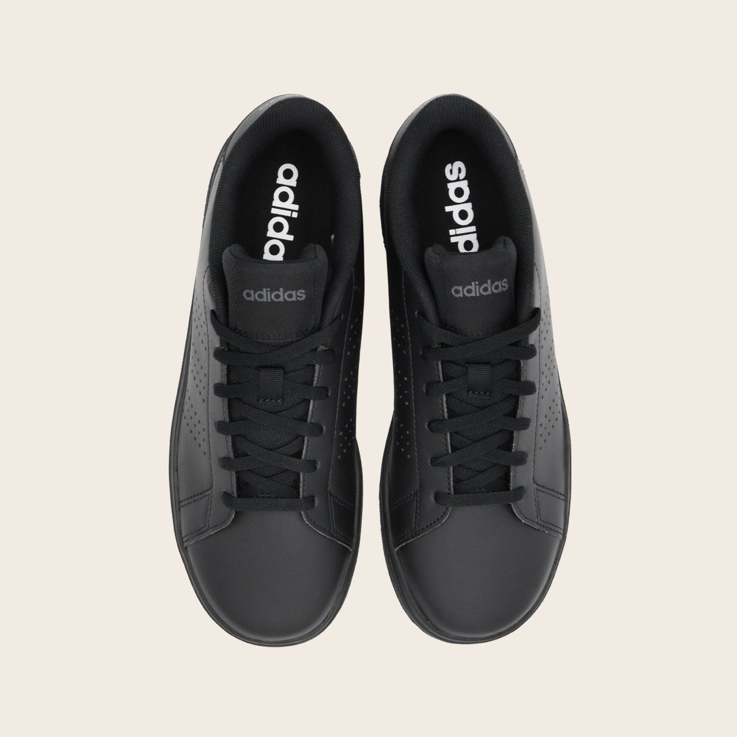 Tenis adidas Advantage Base 2.0