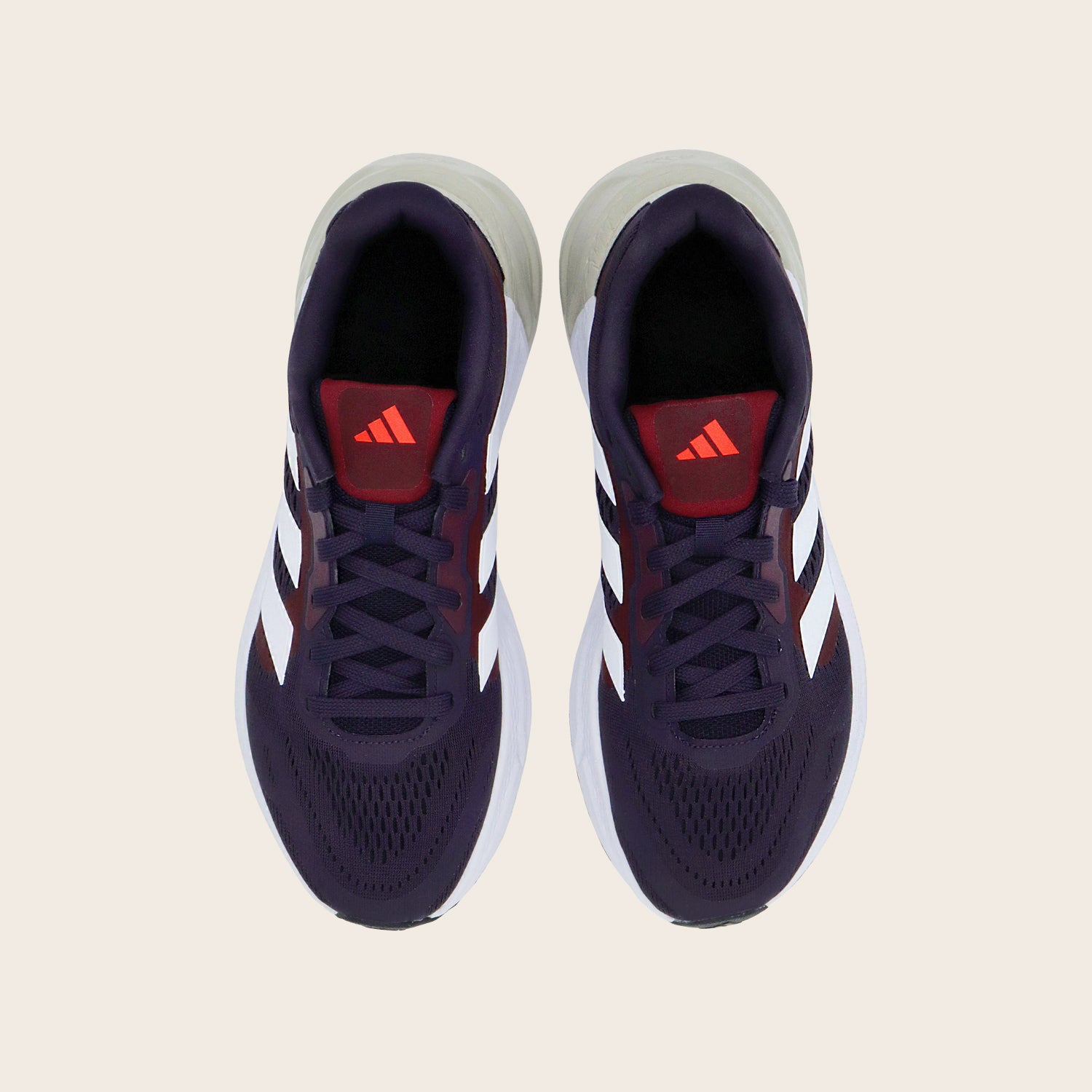 adidas Tenis Questar